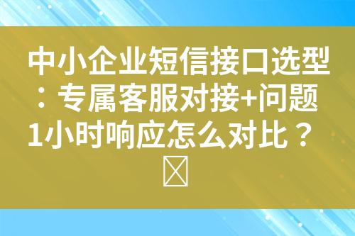 中小企业短信接口选型：专属客服对接+问题1小时响应怎么对比？​?